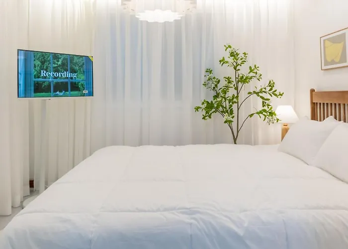 신규할인, Free Luggage Storage, Gangnam, Yeoksam, Near Gangnam Station, Gangnam Plastic Surgery Clinics, Garosu-gil, Apgujeong Rodeo Street, Coex Mall, Gangnam Wedding Venues, Airport Bus Access
